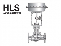 Small diameter single seat control valve